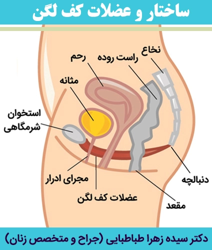 انواع و علائم بی اختیاری ادرار در زنان
