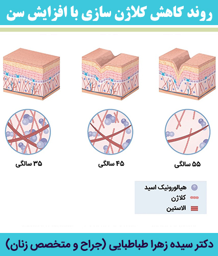 روند-کاهش-کلاژن-سازی-با-افزایش-سن