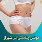 مونس-پلاستی-در-شیراز